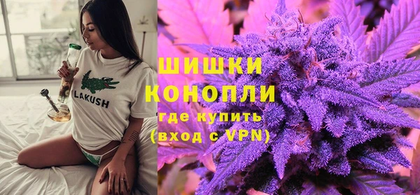 гашик Краснослободск