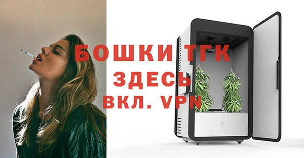 гашик Краснослободск