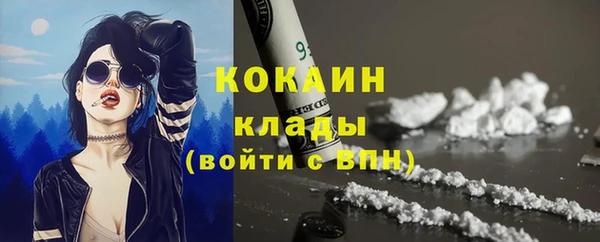 гашик Краснослободск
