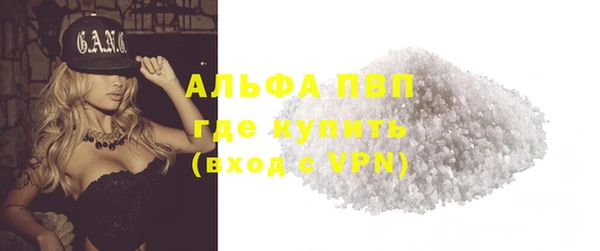 гашик Краснослободск