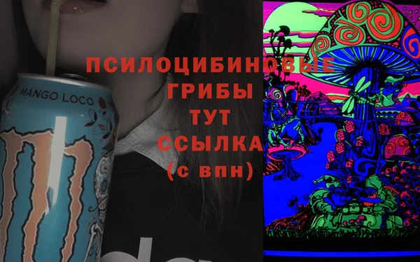 гашик Краснослободск