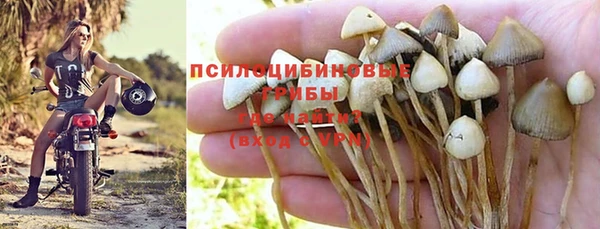 2c-b Красноперекопск