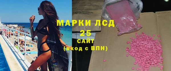 гашик Краснослободск