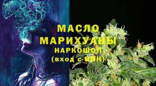 гашик Краснослободск