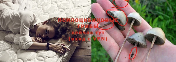 гашик Краснослободск