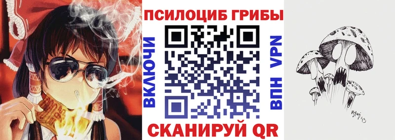 Псилоцибиновые грибы MAGIC MUSHROOMS  Купить закладки  Ивангород 